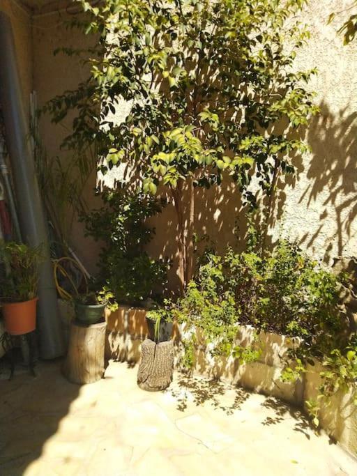 Studio Ideal Pour Deux Voyageurs Sur Марсилия Екстериор снимка